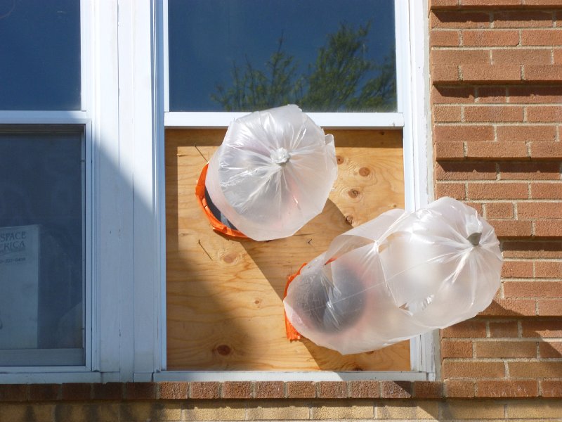 VA Garden April 2013 070